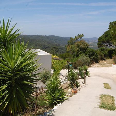 A Perfect Villa With Pool Terrace And Garden Alcobaça Εξωτερικό φωτογραφία