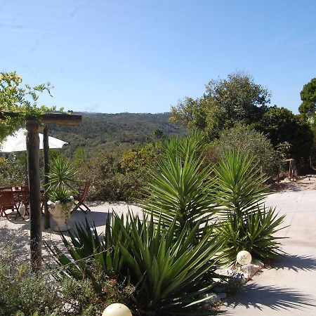 A Perfect Villa With Pool Terrace And Garden Alcobaça Εξωτερικό φωτογραφία