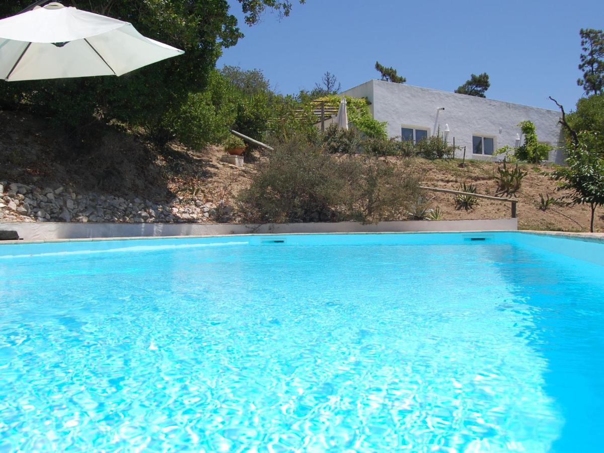 A Perfect Villa With Pool Terrace And Garden Alcobaça Εξωτερικό φωτογραφία