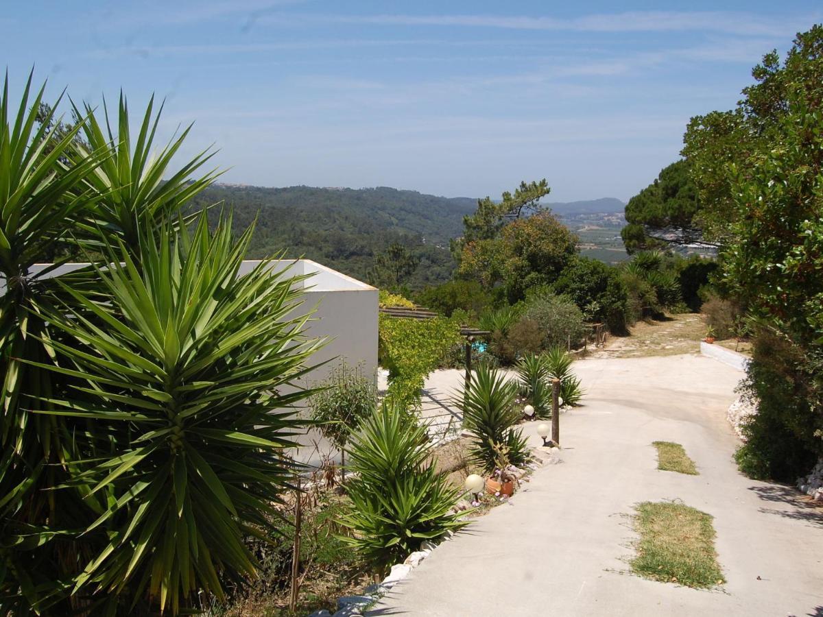 A Perfect Villa With Pool Terrace And Garden Alcobaça Εξωτερικό φωτογραφία