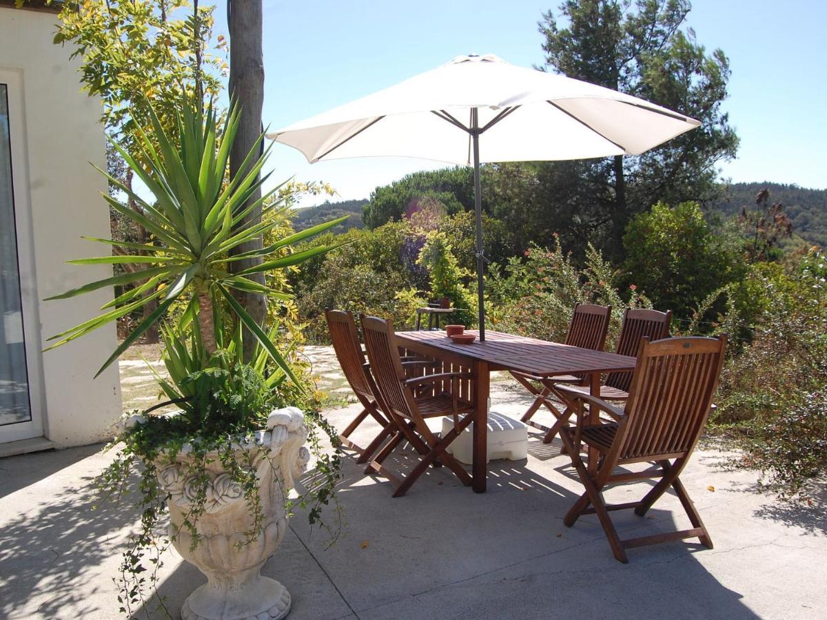 A Perfect Villa With Pool Terrace And Garden Alcobaça Εξωτερικό φωτογραφία