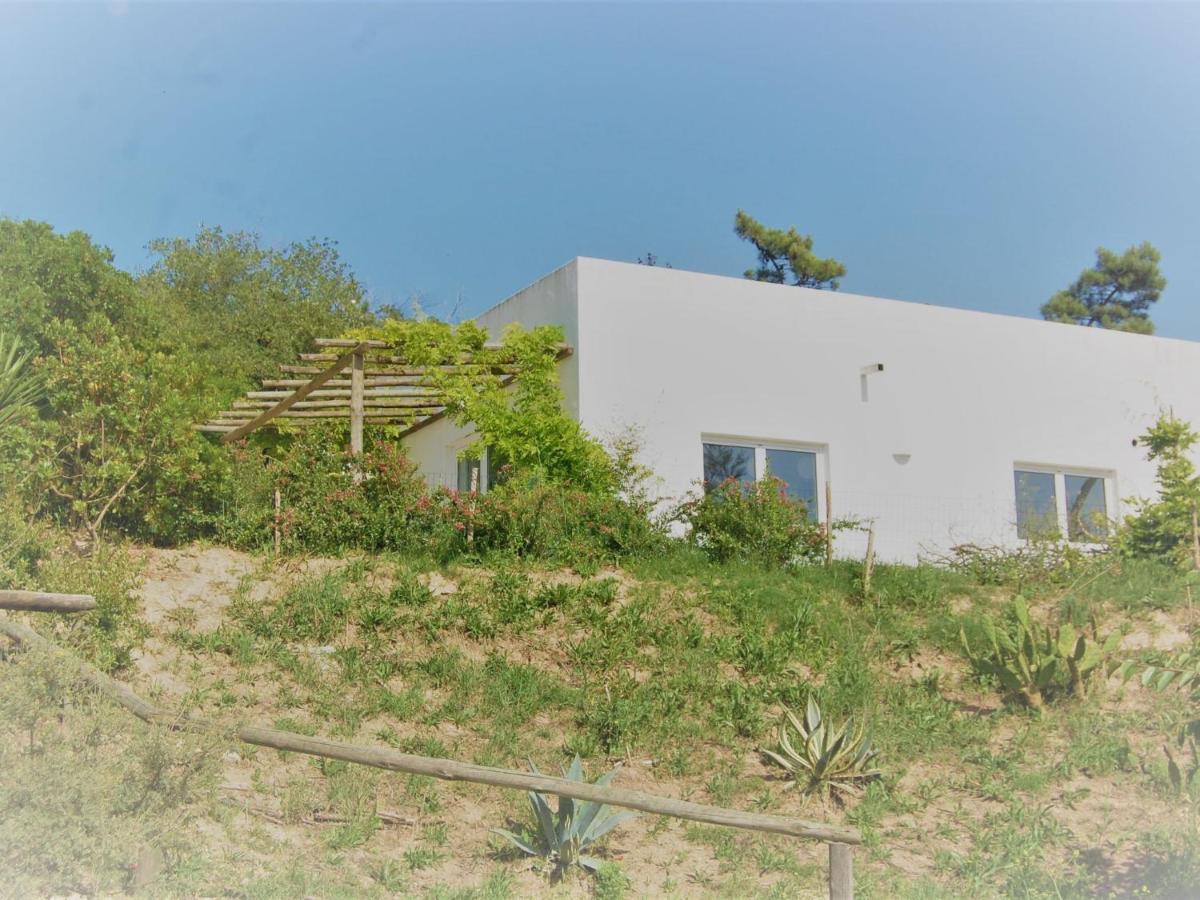 A Perfect Villa With Pool Terrace And Garden Alcobaça Εξωτερικό φωτογραφία