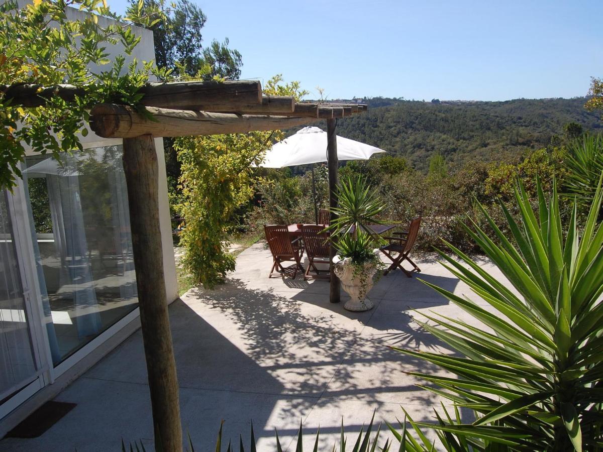 A Perfect Villa With Pool Terrace And Garden Alcobaça Εξωτερικό φωτογραφία