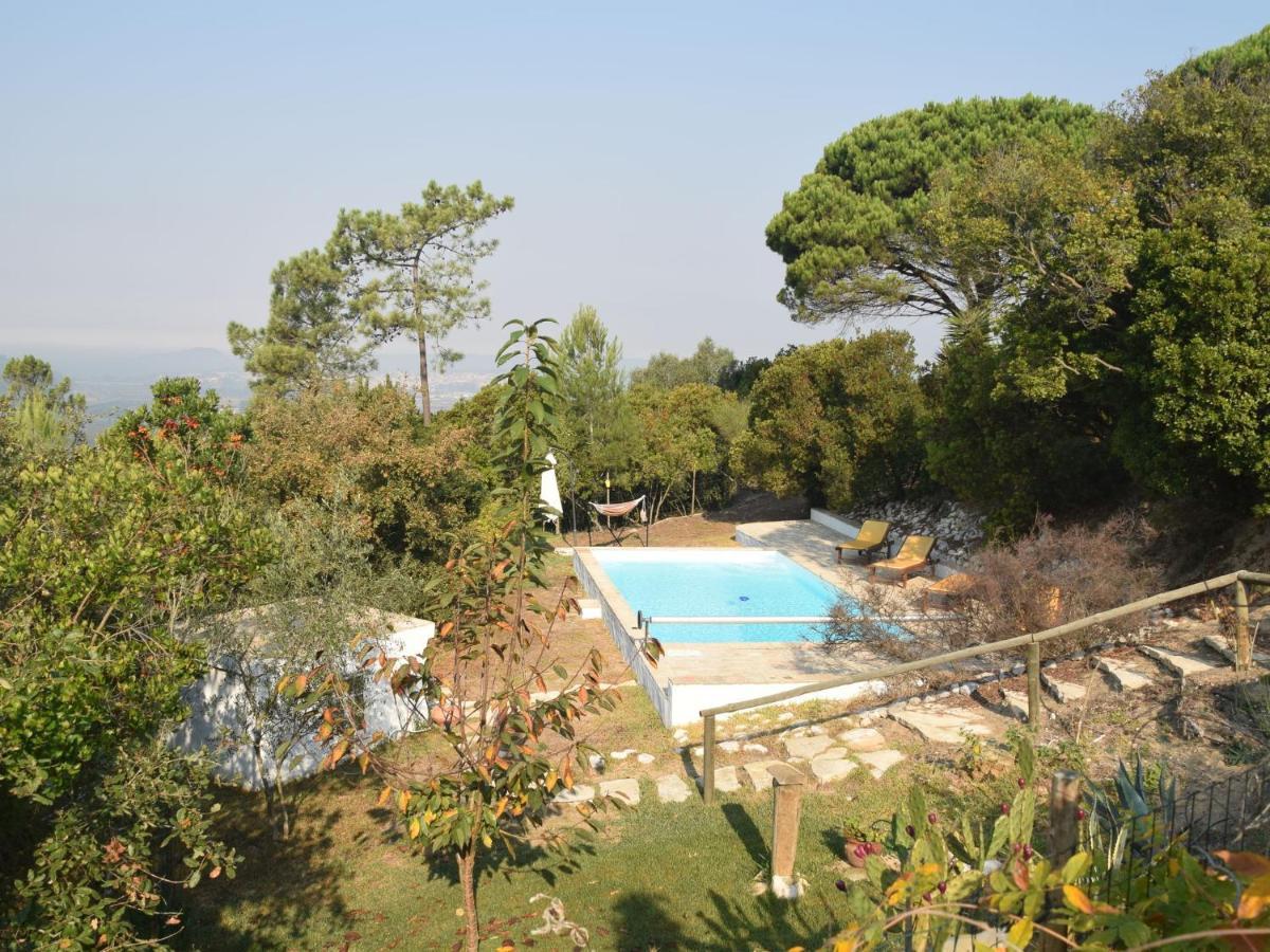 A Perfect Villa With Pool Terrace And Garden Alcobaça Εξωτερικό φωτογραφία