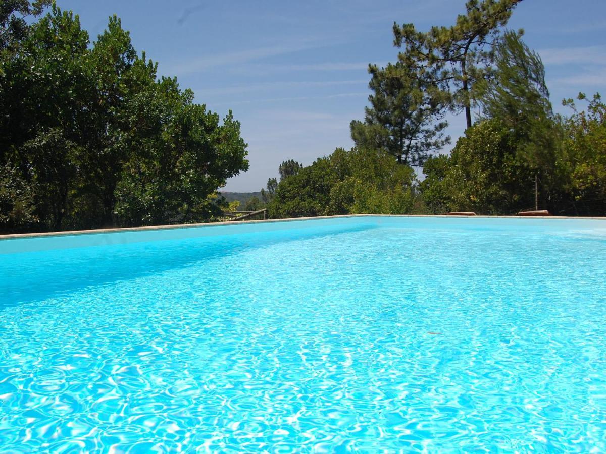 A Perfect Villa With Pool Terrace And Garden Alcobaça Εξωτερικό φωτογραφία