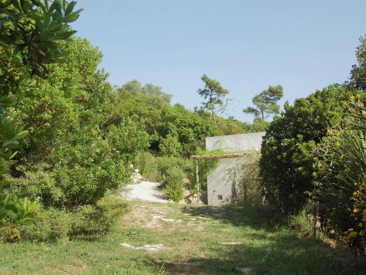 A Perfect Villa With Pool Terrace And Garden Alcobaça Εξωτερικό φωτογραφία