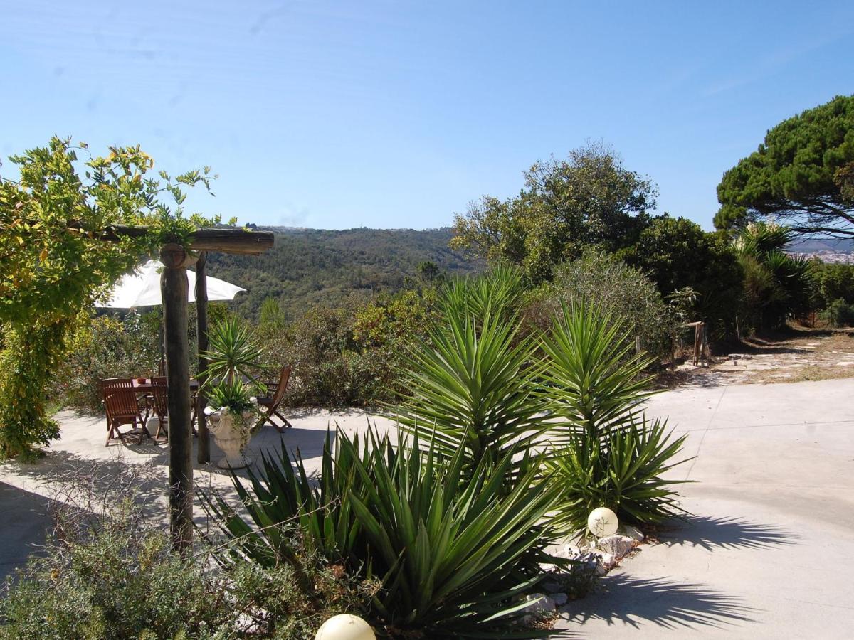 A Perfect Villa With Pool Terrace And Garden Alcobaça Εξωτερικό φωτογραφία